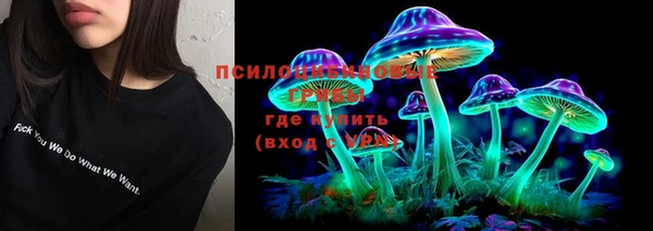 ГАЛЛЮЦИНОГЕННЫЕ ГРИБЫ Алзамай