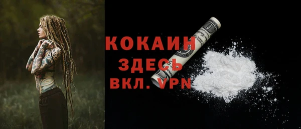 соль ск Алексин