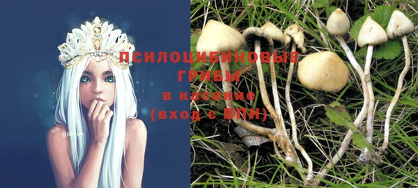 соль ск Алексин