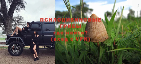ГАЛЛЮЦИНОГЕННЫЕ ГРИБЫ Алзамай